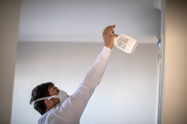 Best Office Mold Removal Services  in Bonner Springs, KS