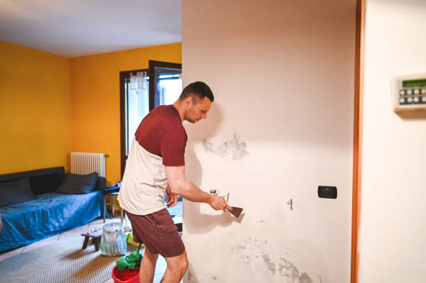 Best Commercial Mold Removal  in Bonner Springs, KS